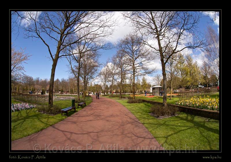 Keukenhof Hollandia 091.jpg